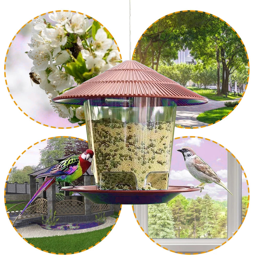 πΏ Name: HexaFeast Premium Hanging Bird Feeder