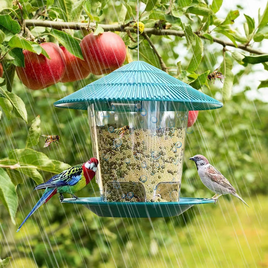 🌿 Name: HexaFeast Premium Hanging Bird Feeder